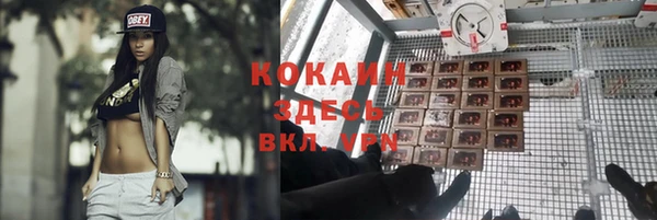 ПСИЛОЦИБИНОВЫЕ ГРИБЫ Алексин