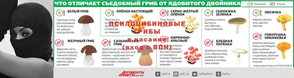 ПСИЛОЦИБИНОВЫЕ ГРИБЫ Алексин