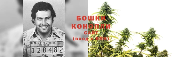 ПСИЛОЦИБИНОВЫЕ ГРИБЫ Алексин