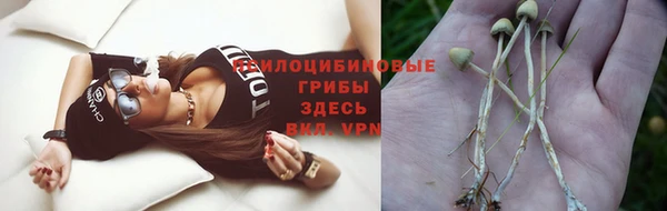 ПСИЛОЦИБИНОВЫЕ ГРИБЫ Алексин