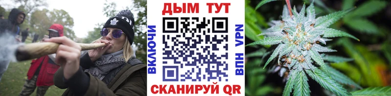 МЕГА tor  darknet телеграм  Бошки марихуана ГИДРОПОН  Павлово 